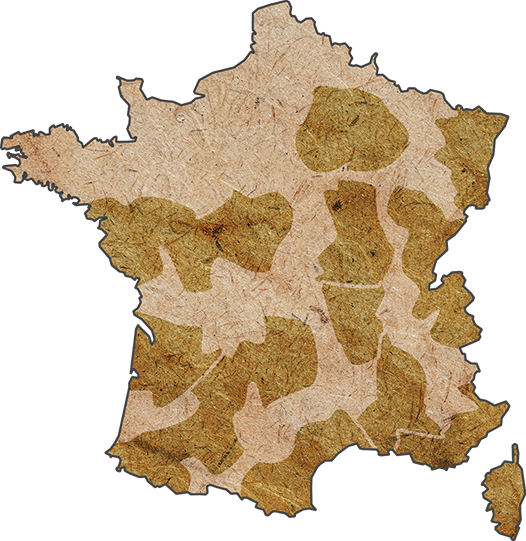 Carte de France - BIOtiful wines