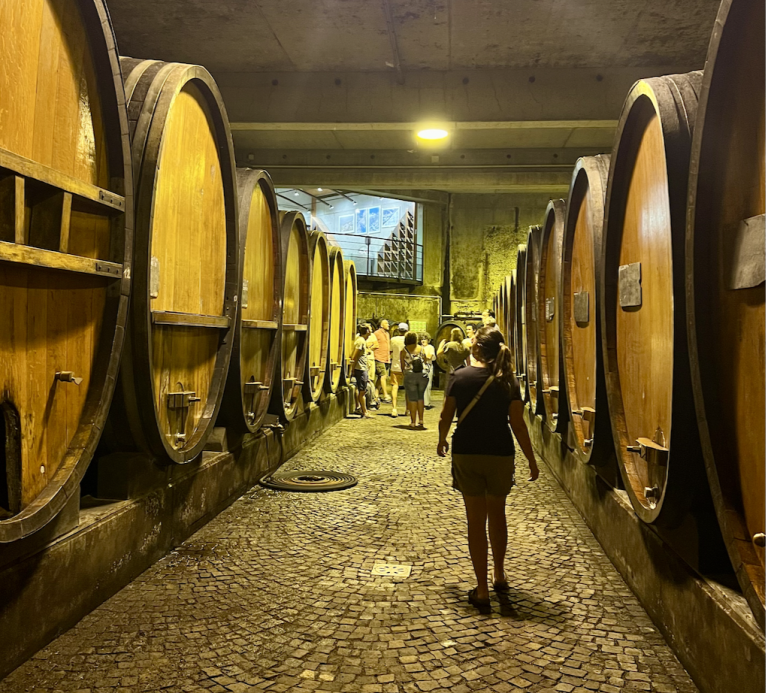 #seminaireAlsace - BIOtiful wines