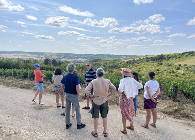 Le vignoble de Saint-Bris depuis le Col du Crémant - BIOtiful wines