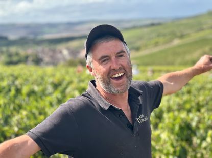 DOMAINE JL & JC BERSAN - BIOtiful wines