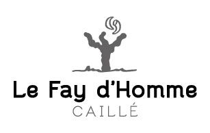 DOMAINE LE FAY D'HOMME - BIOtiful wines
